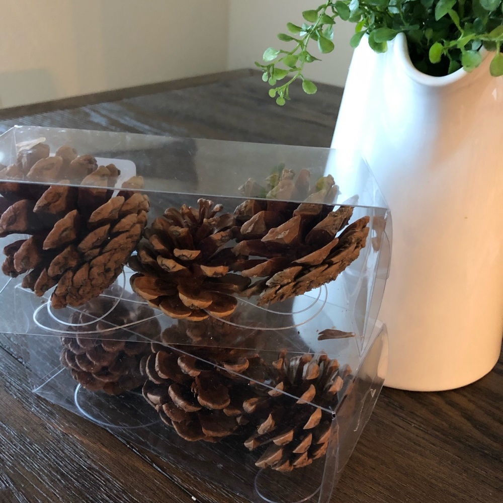 WONDERSHOP | Pine Cones